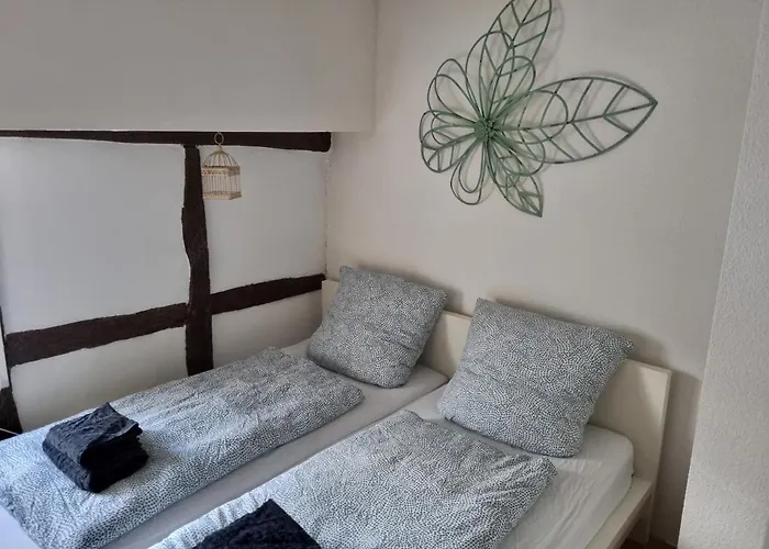 Schoene Im Zentrum Von